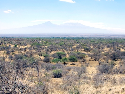 Amboseli Landscape